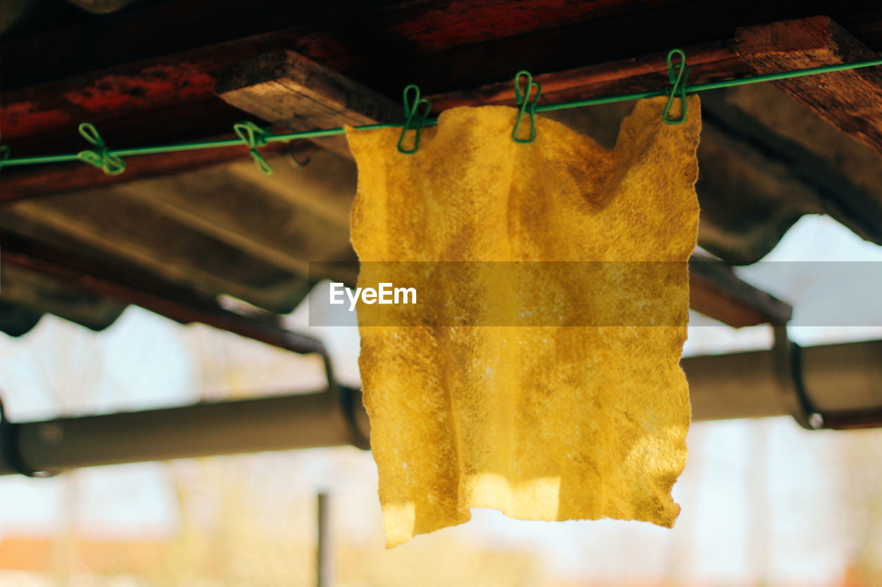 Close-up of clothes drying on clothesline