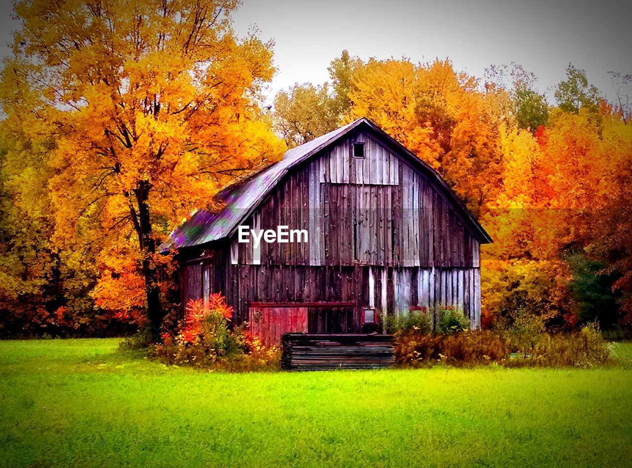 Facade of barn in field