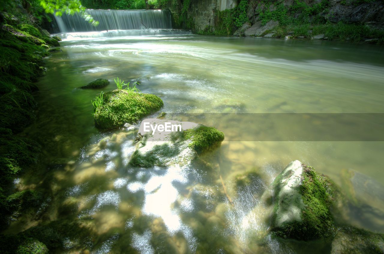 Stream flowing through rocks in forest