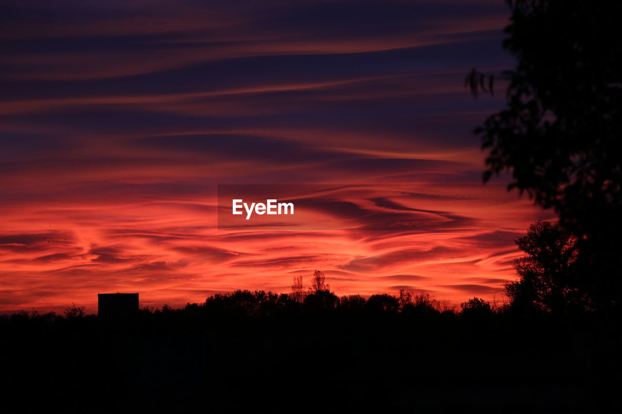 SCENIC VIEW OF SILHOUETTE TREES AGAINST SKY DURING SUNSET