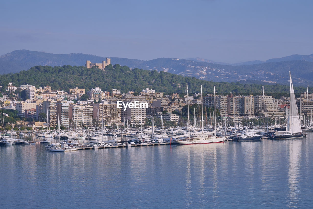 Sailboats moored in harbor