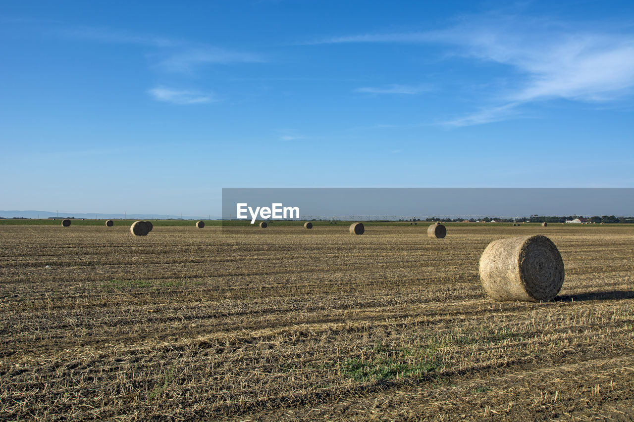 Hay bales on field against sky