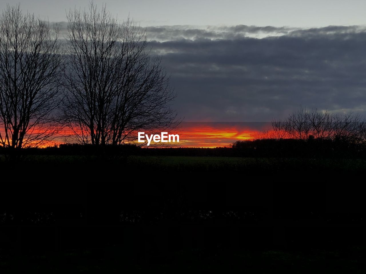 SILHOUETTE BARE TREES ON FIELD AGAINST SKY DURING SUNSET