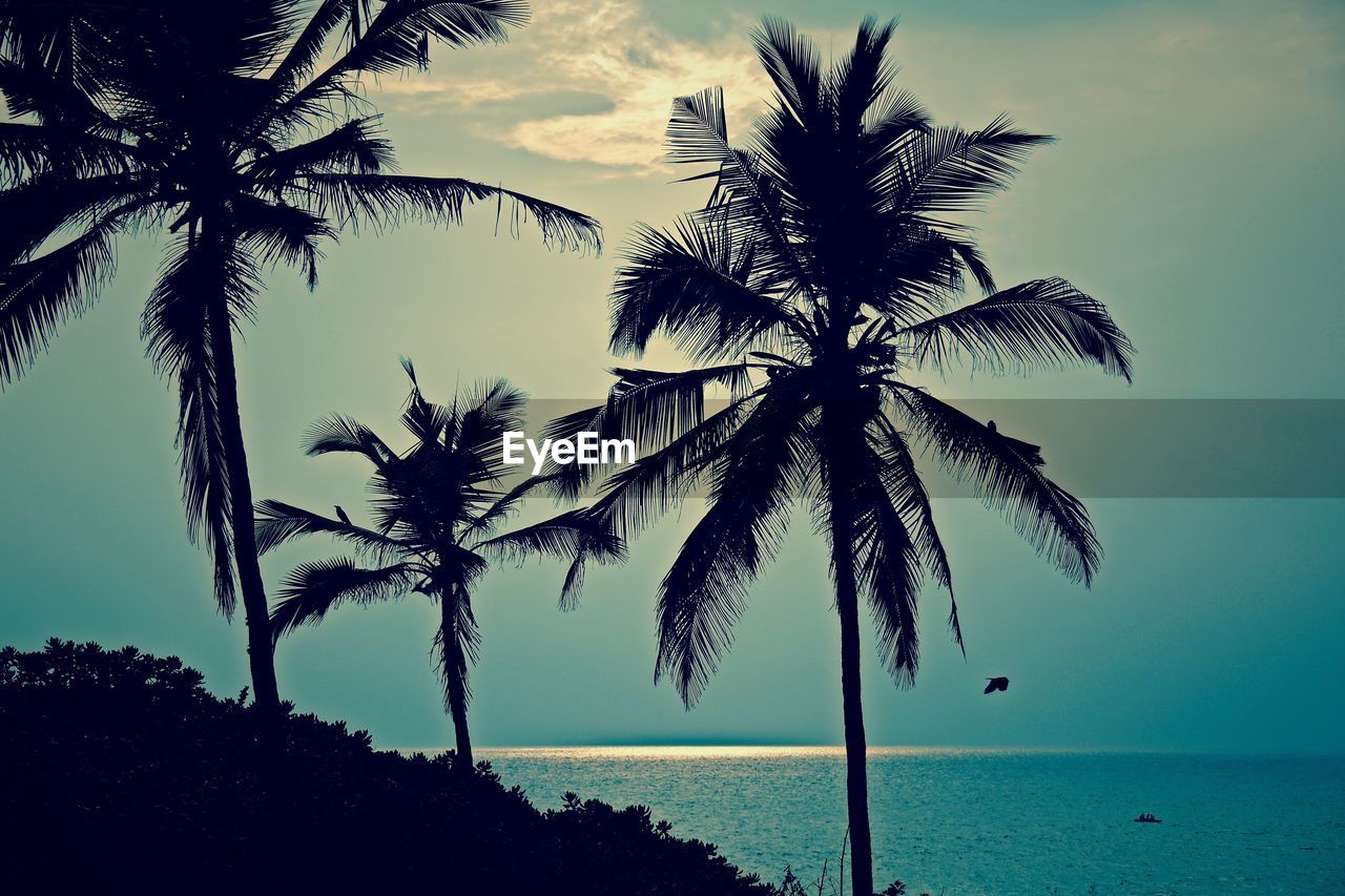 Silhouette coconut palm trees by sea against sky on sunny day