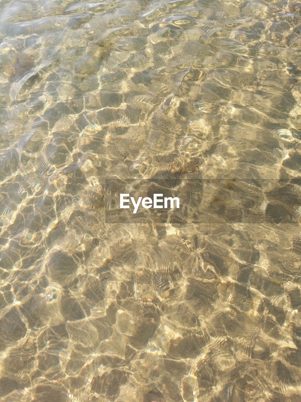 FULL FRAME SHOT OF SWIMMING POOL