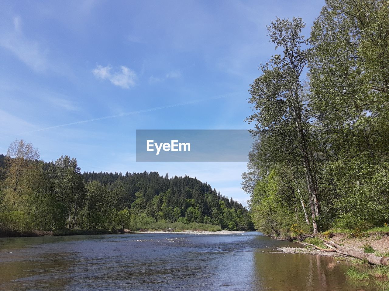 RIVER AMIDST TREES AGAINST SKY