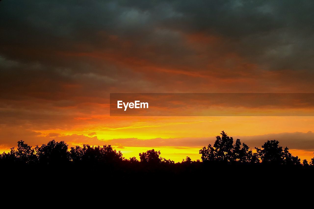 SILHOUETTE TREES AGAINST SKY AT SUNSET