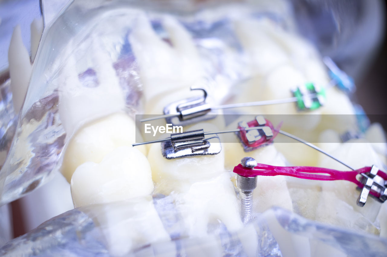 Close-up of artificial teeth