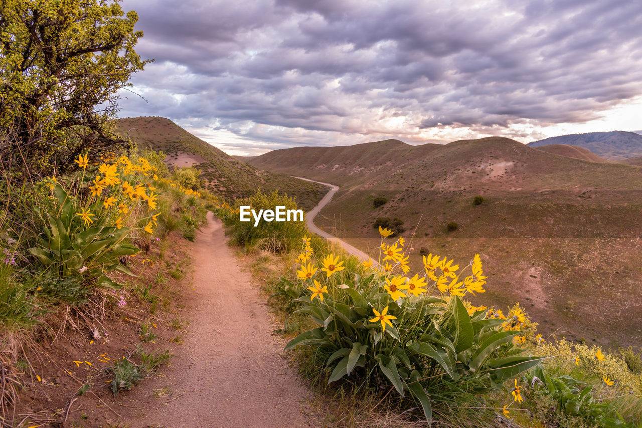 SCENIC VIEW OF MOUNTAIN AGAINST SKY