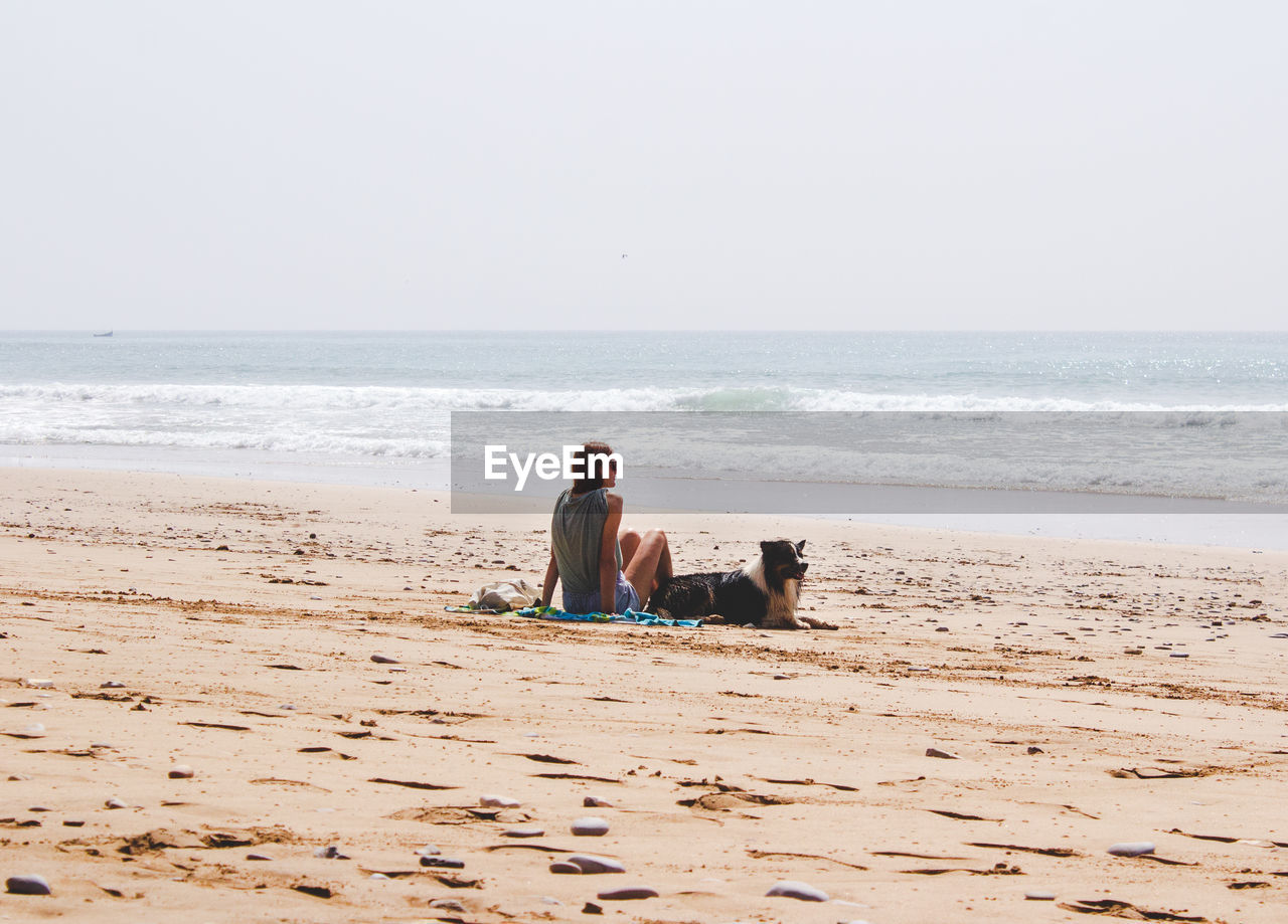 FULL LENGTH OF DOG ON BEACH AGAINST SKY