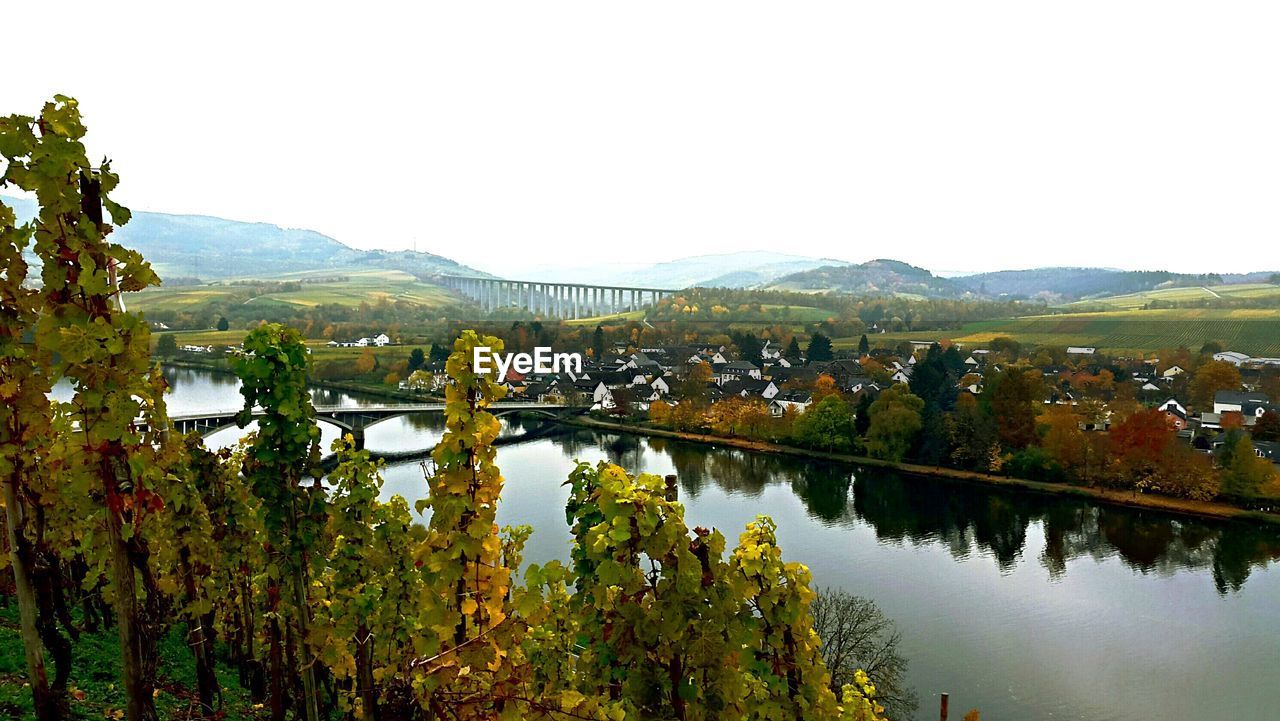 High angle view of river amidst plants against clear sky