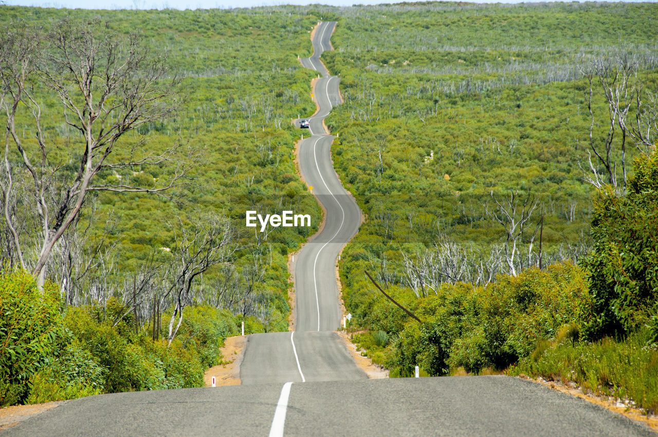 road amidst trees on field