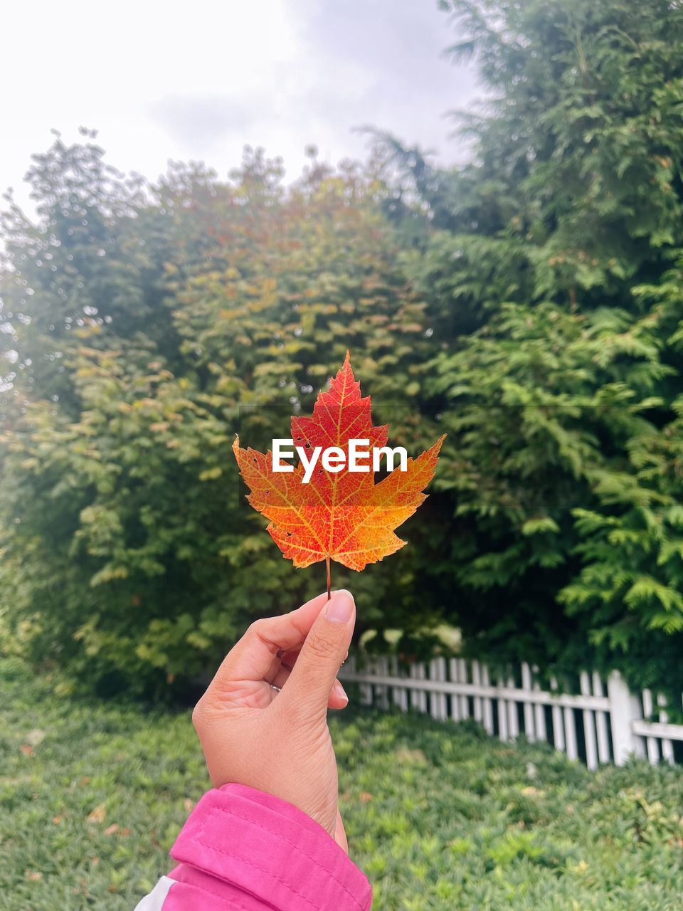 Cropped hand holding autumn leaf against sky