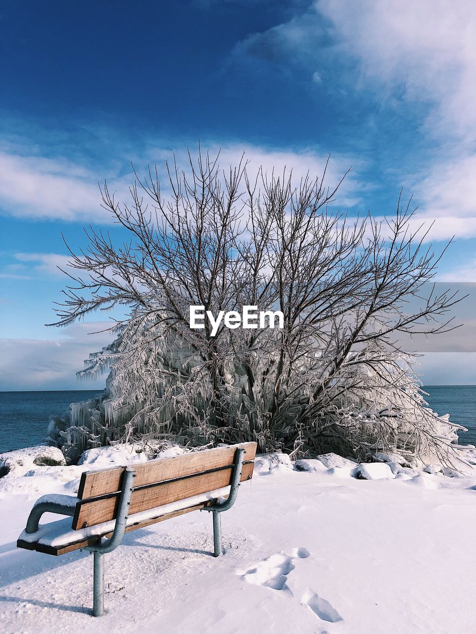 Bare tree on snow covered land against sky