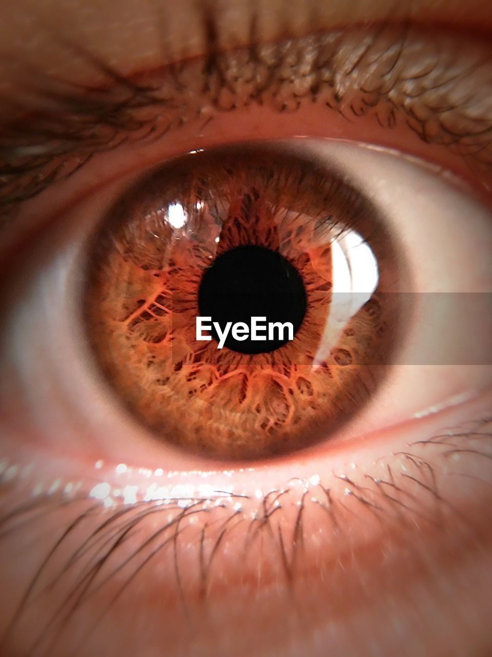 MACRO SHOT OF HUMAN EYE