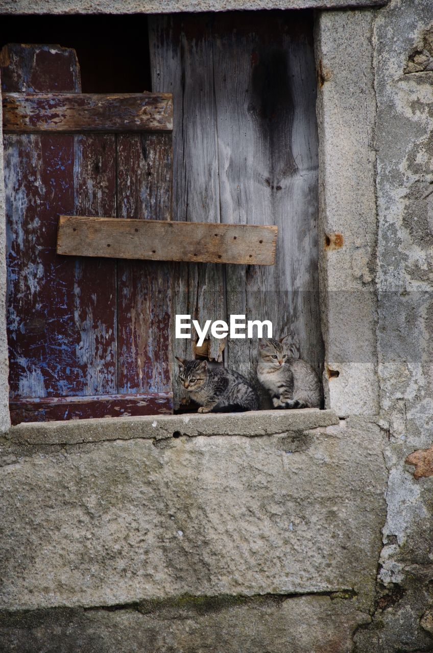 VIEW OF DOOR