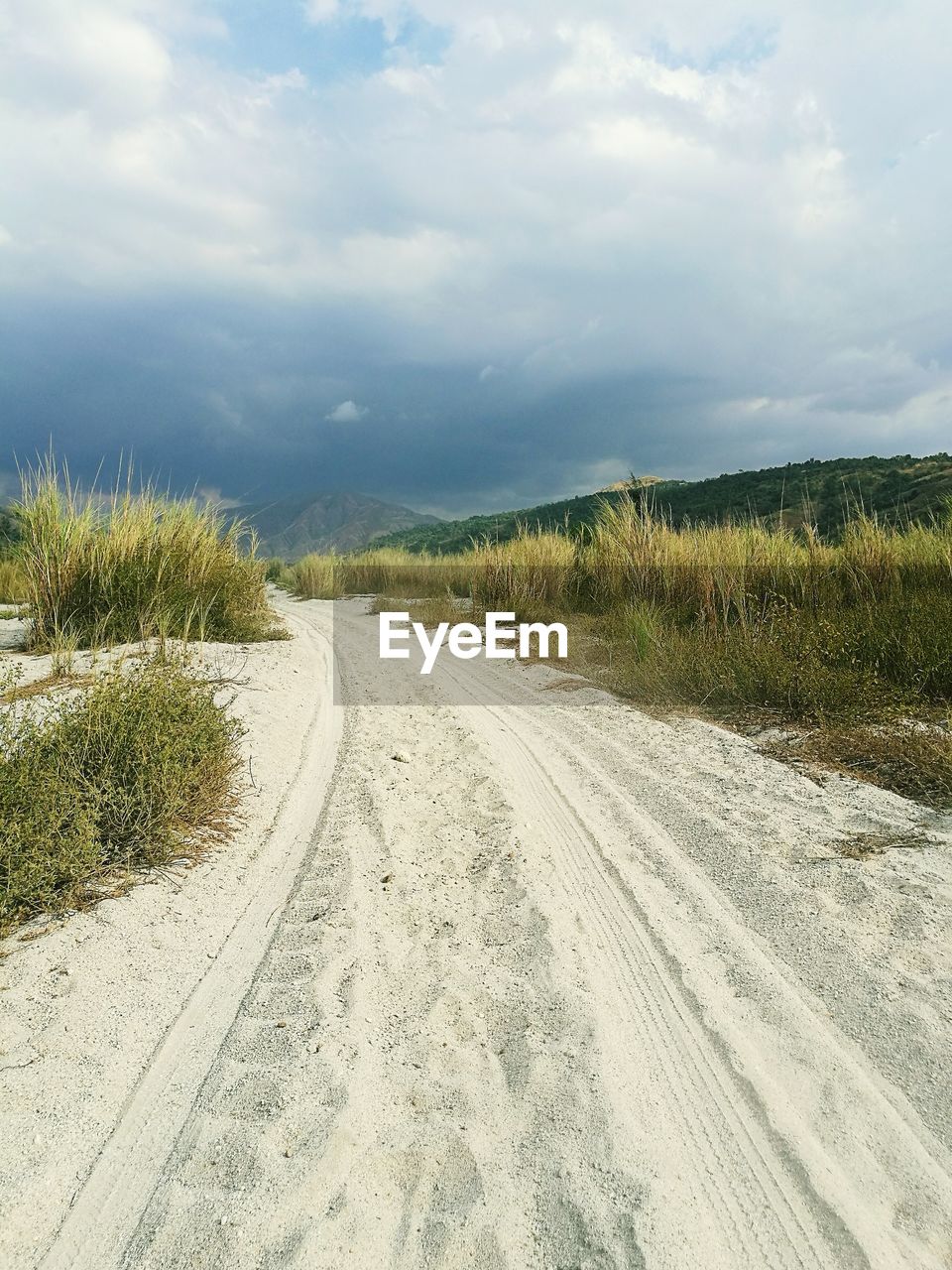 Road by agricultural field against sky