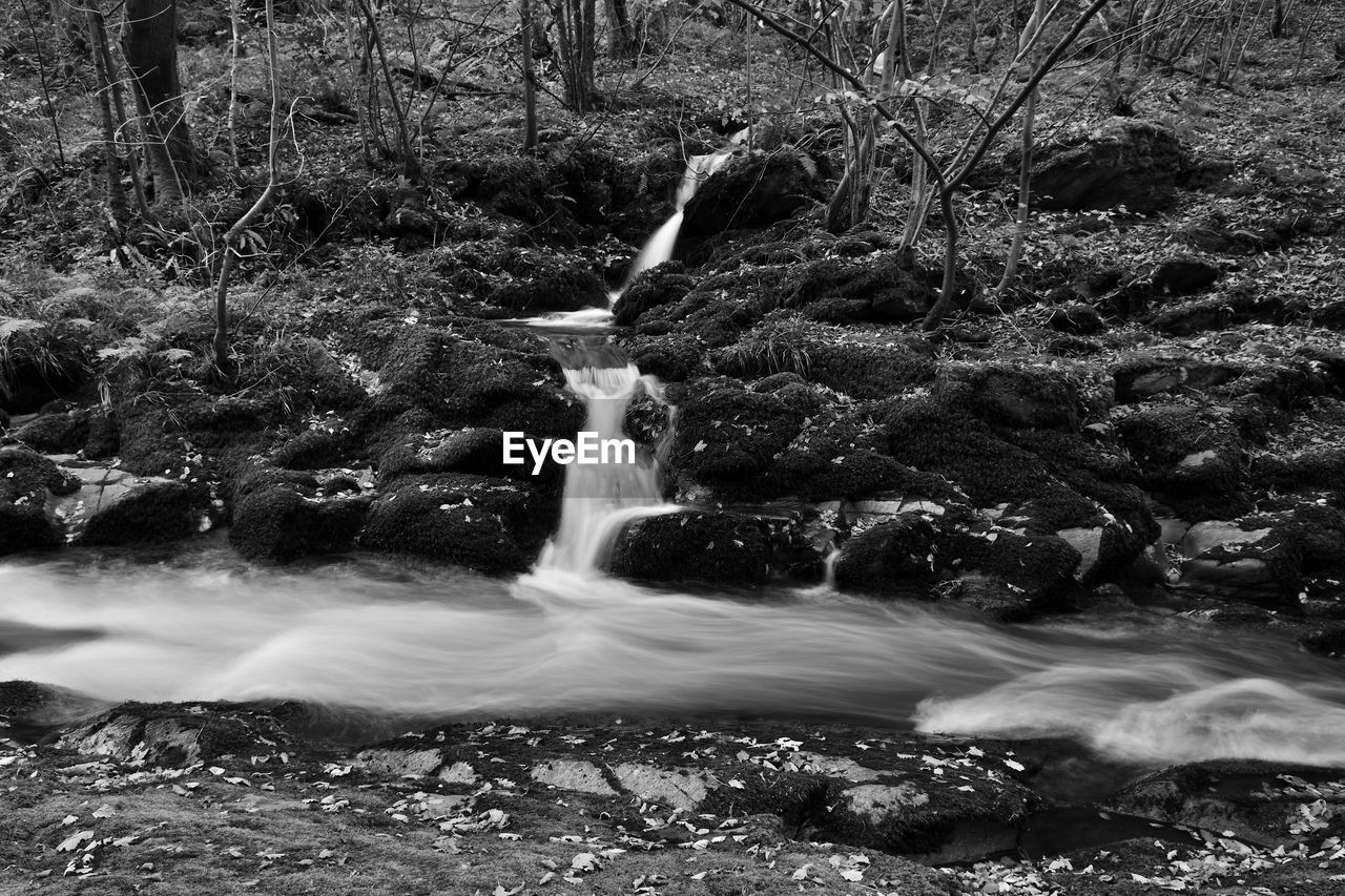 VIEW OF WATERFALL