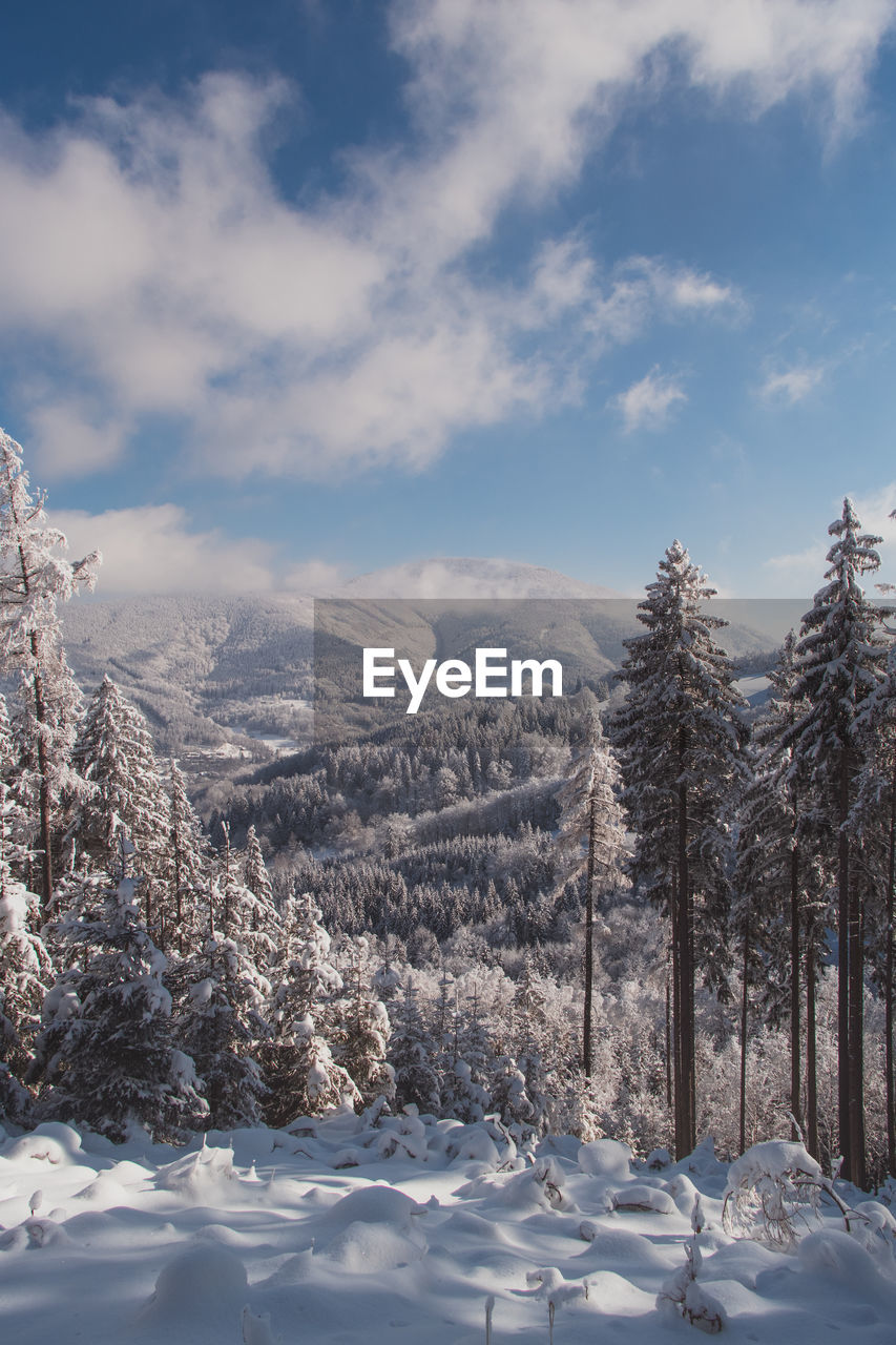 View of the snowy wild landscape located in europe in the czech lands.