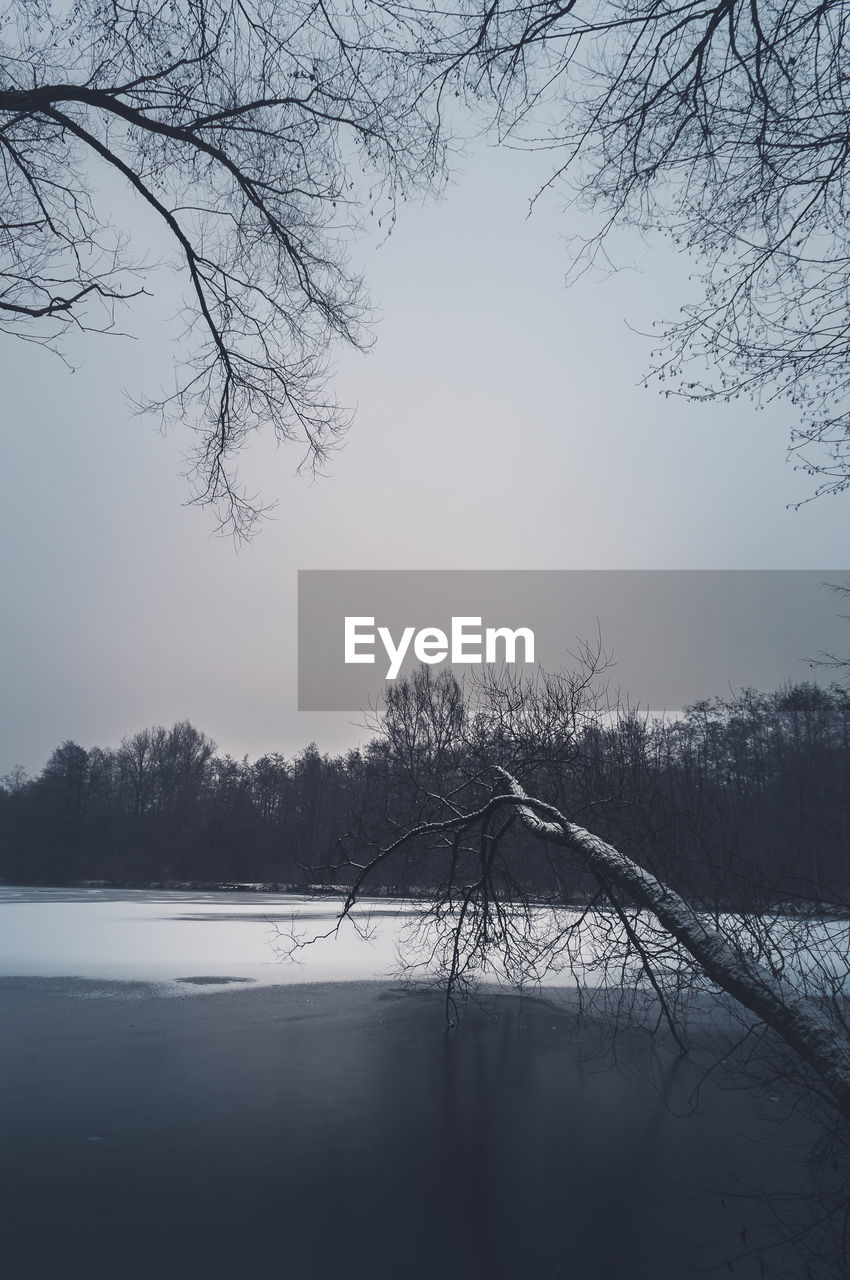 BIRDS BY LAKE AGAINST SKY