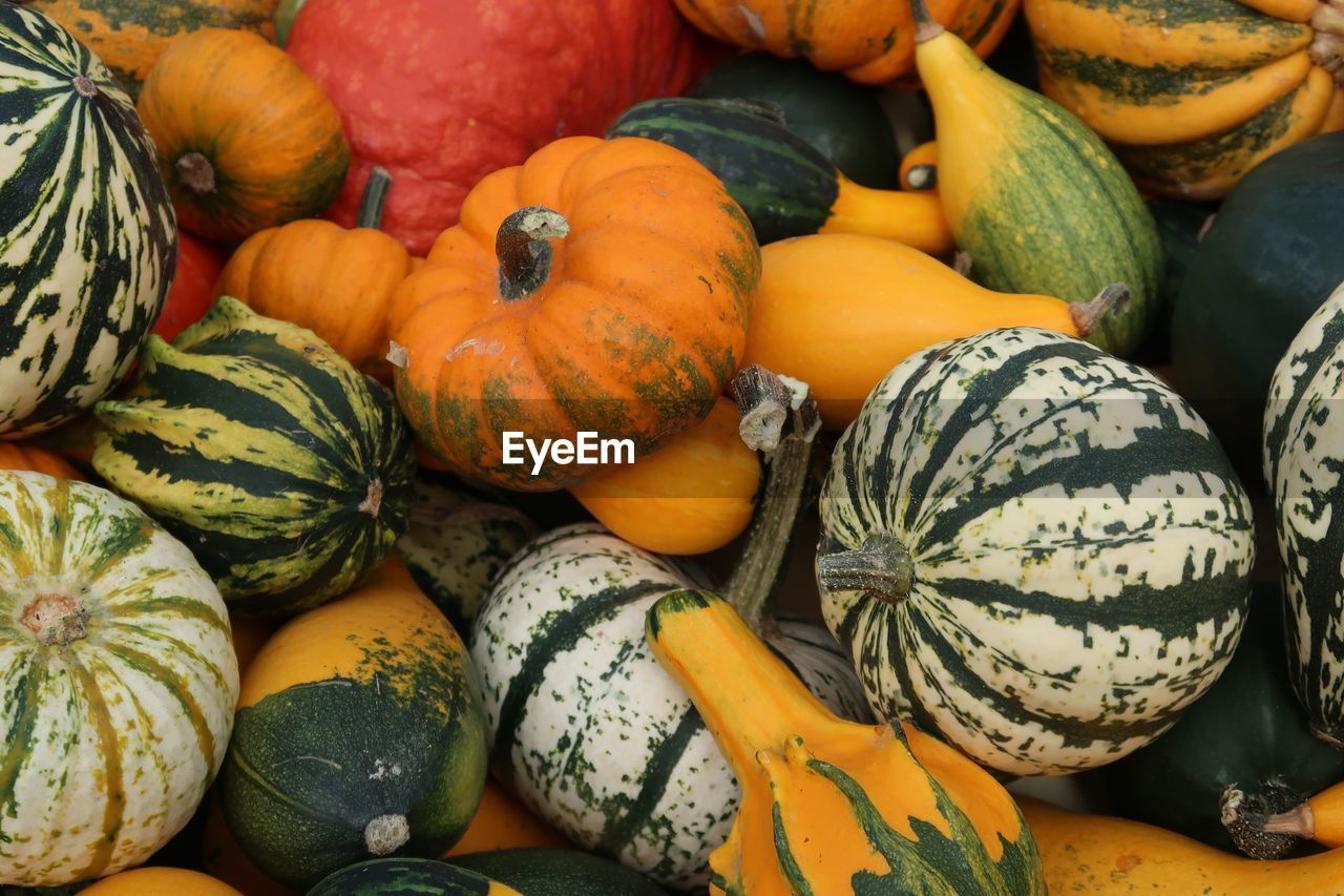 FULL FRAME SHOT OF PUMPKINS FOR SALE AT MARKET