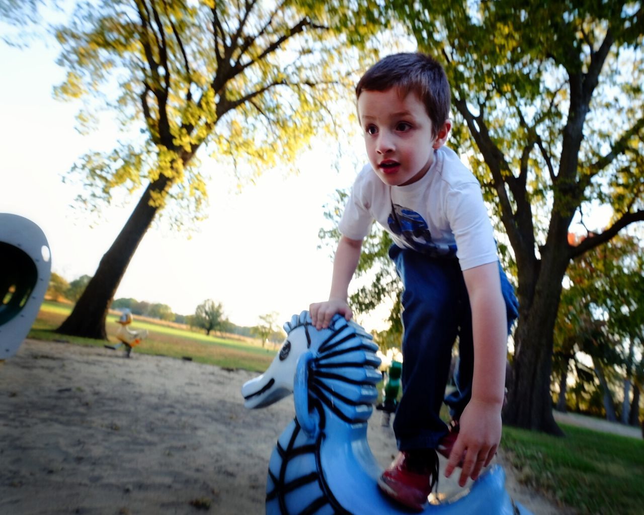 Full length of boy on rocking horse in park