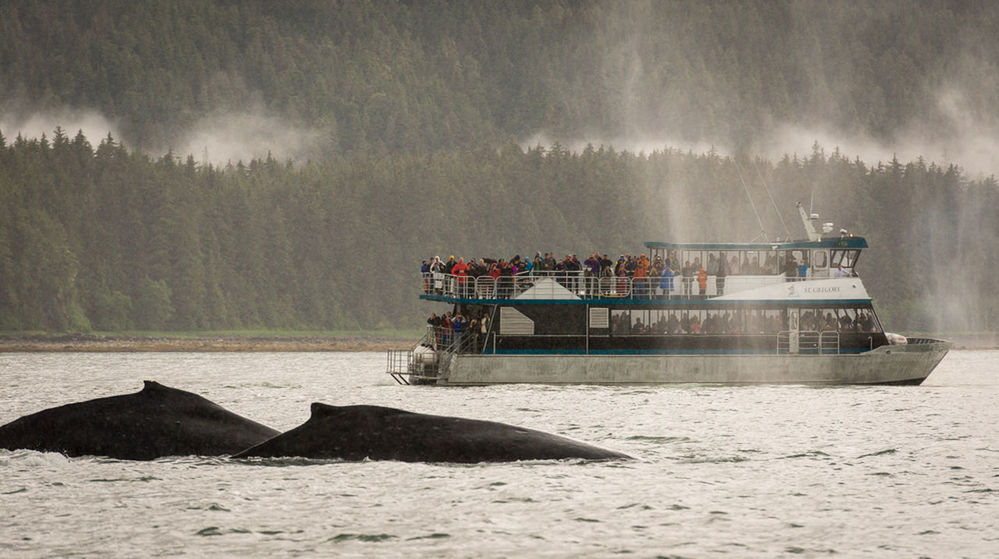 Side view of people in ferryboat at lake