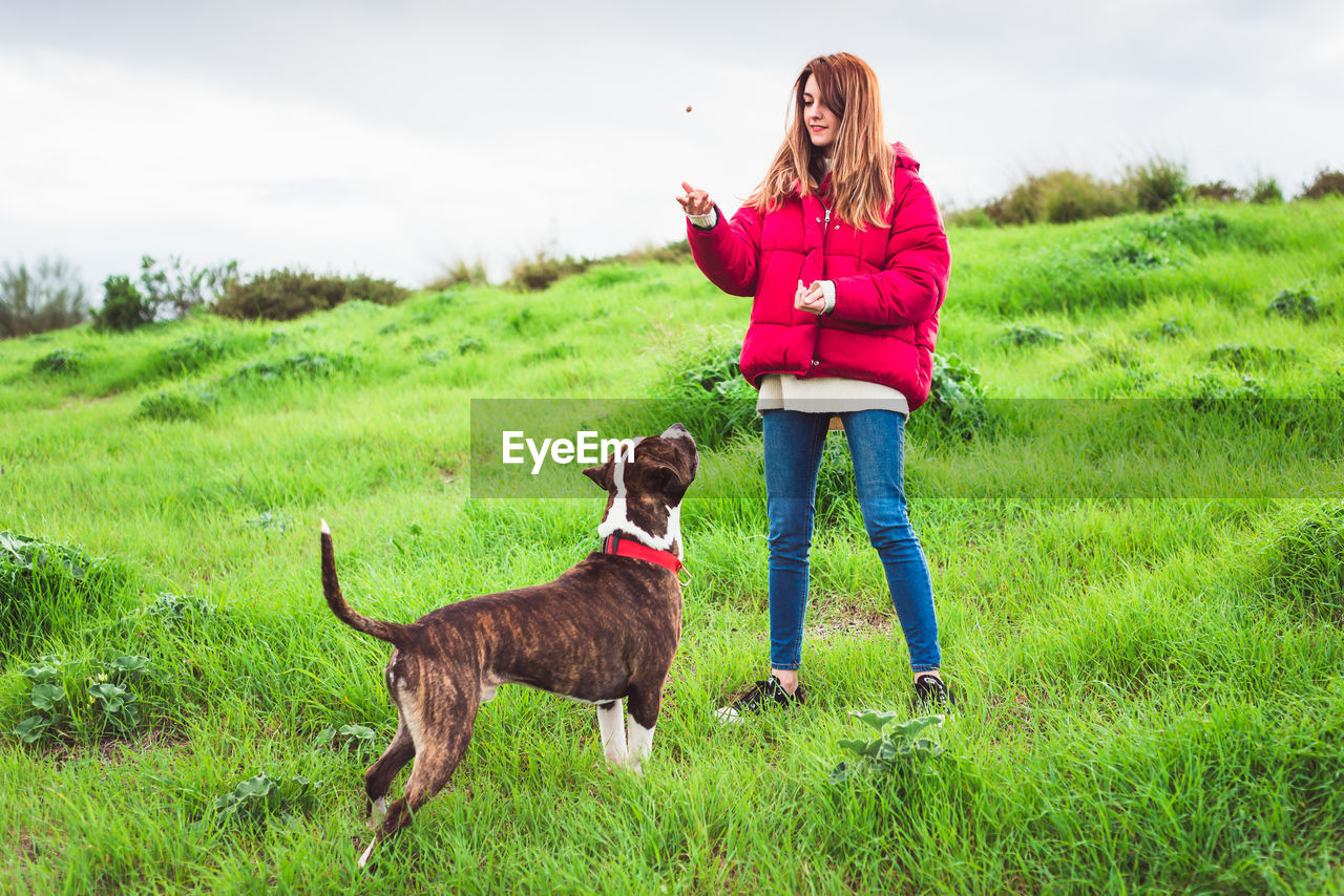 Full length of woman playing with dog standing on field