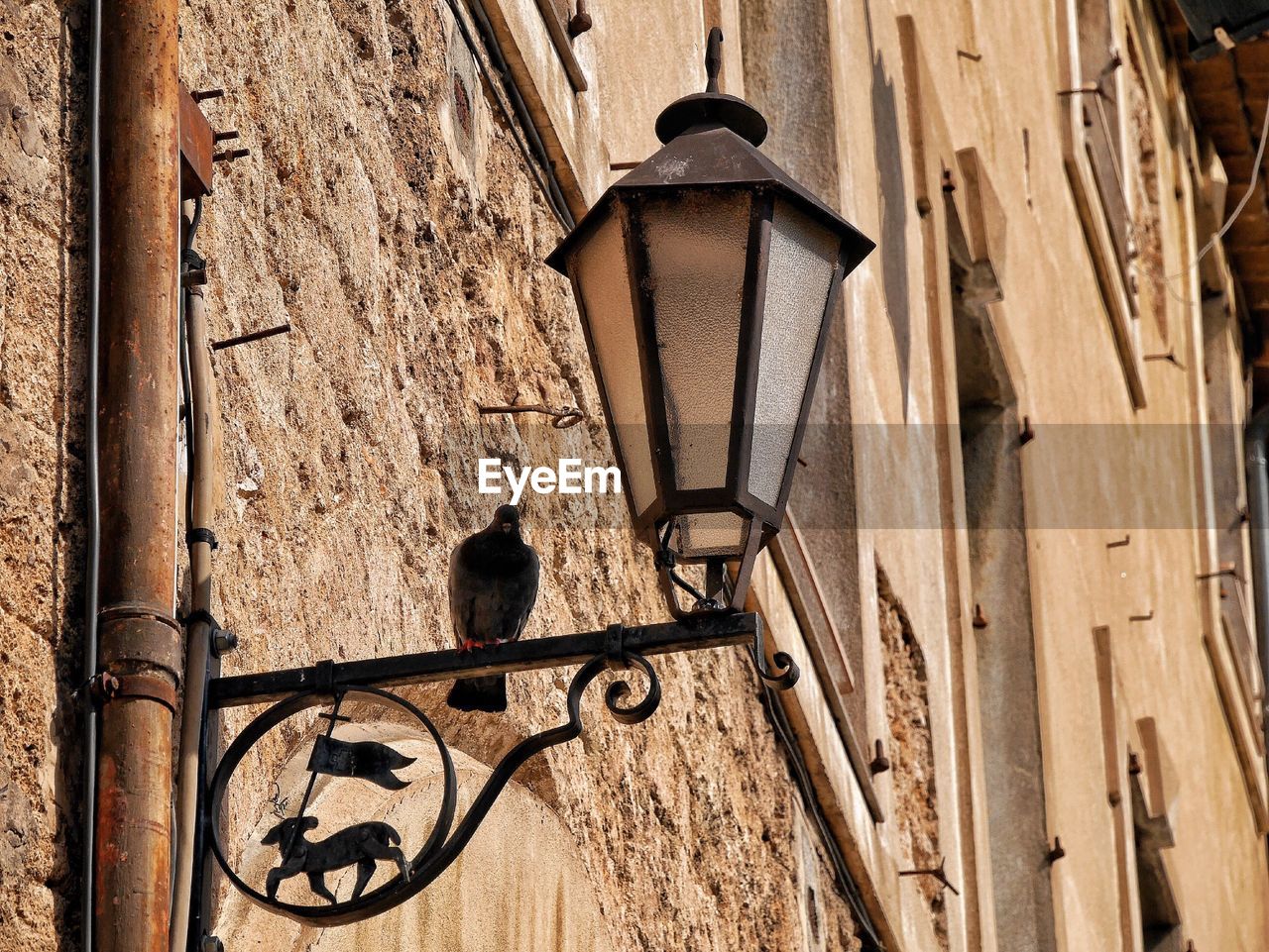 Low angle view of street lamp