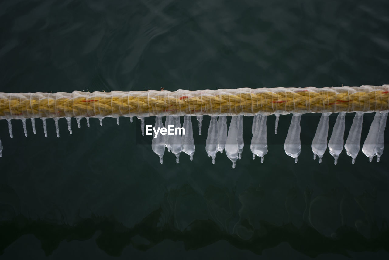 Close-up of icicles hanging against rope