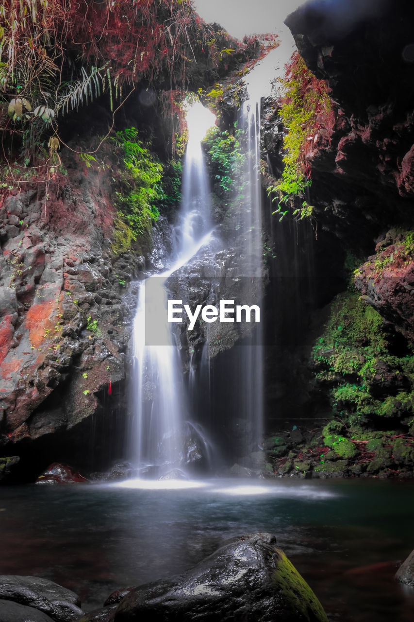 VIEW OF WATERFALL IN FOREST