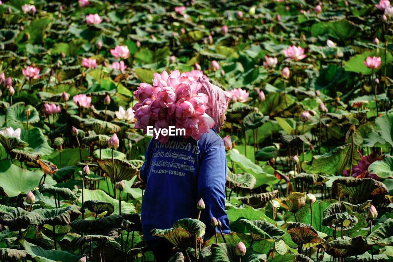 Rear view of woman standing with lotus water lily