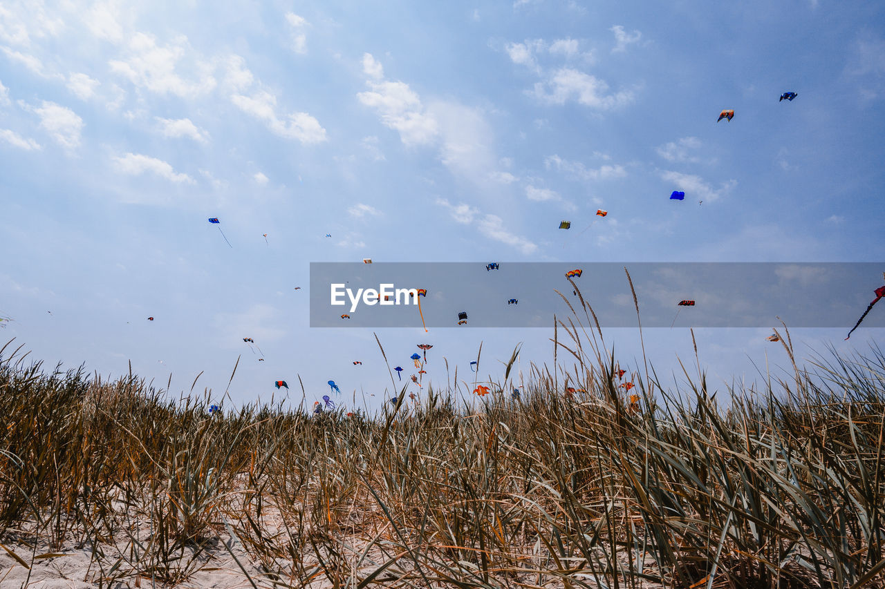 Low angle view of colorful kites flying over landscape against sky