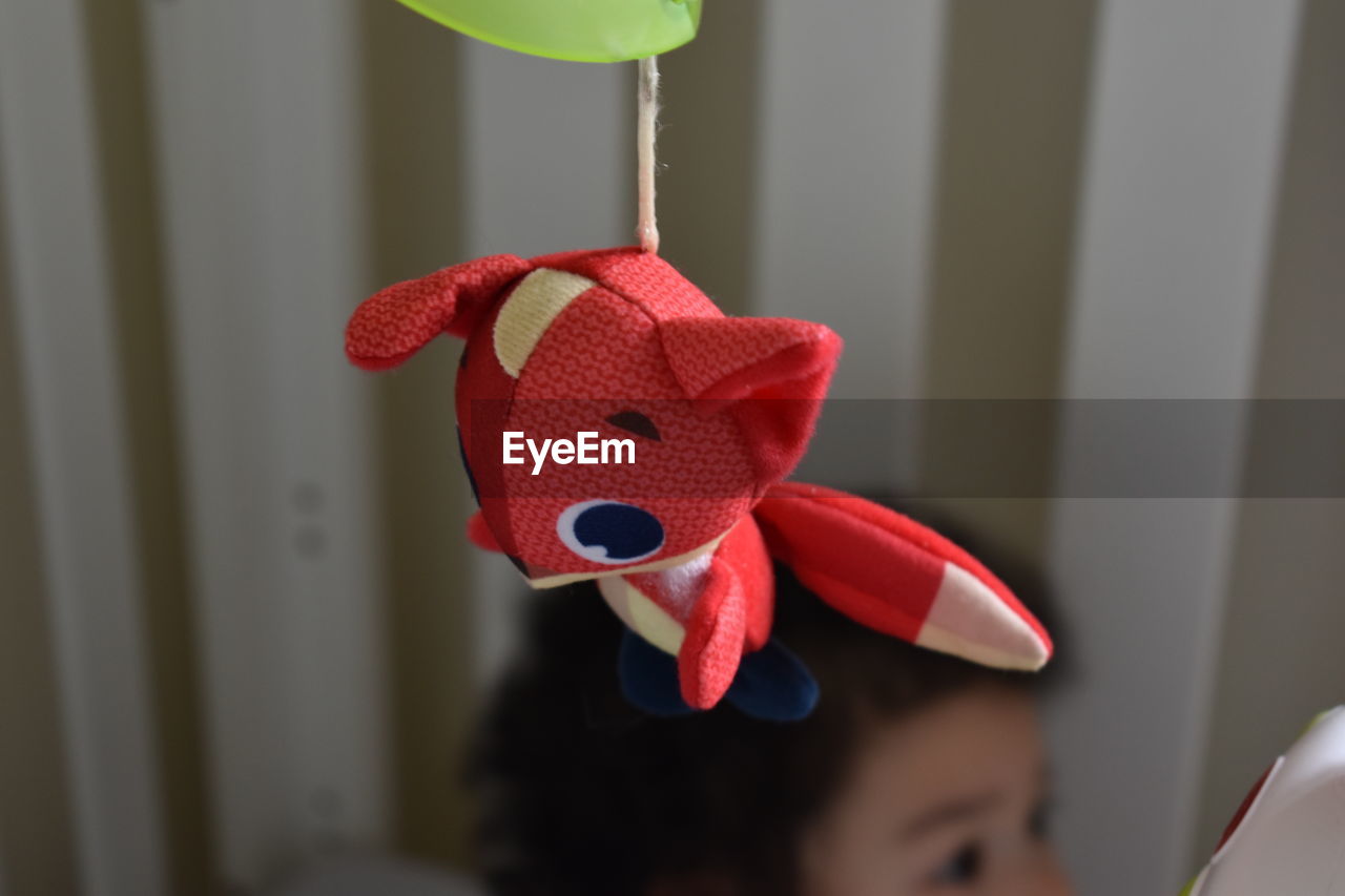 CLOSE-UP PORTRAIT OF TOY