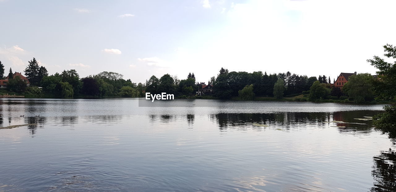 TREES BY LAKE AGAINST SKY