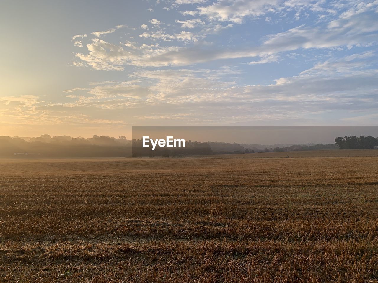 FIELD AGAINST SKY