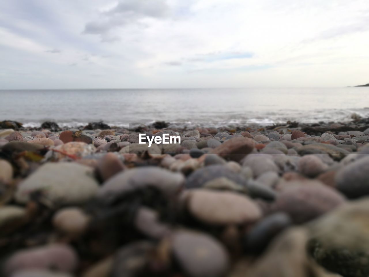 SURFACE LEVEL VIEW OF PEBBLE BEACH