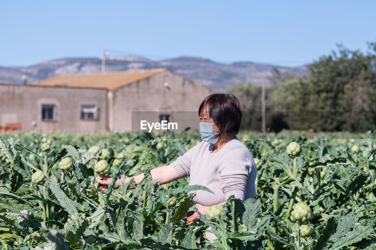 Mature woman wearing mask harvesting at farm