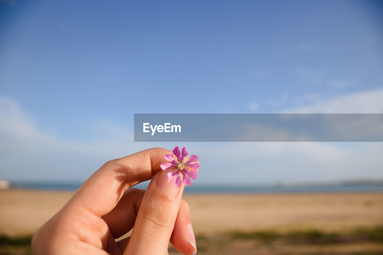 Close-up of hand holding pink flower against sky