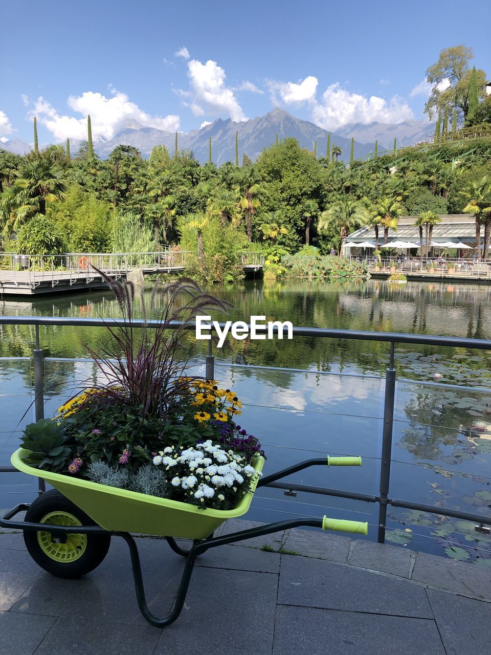 Scenic view of lake by plants against sky