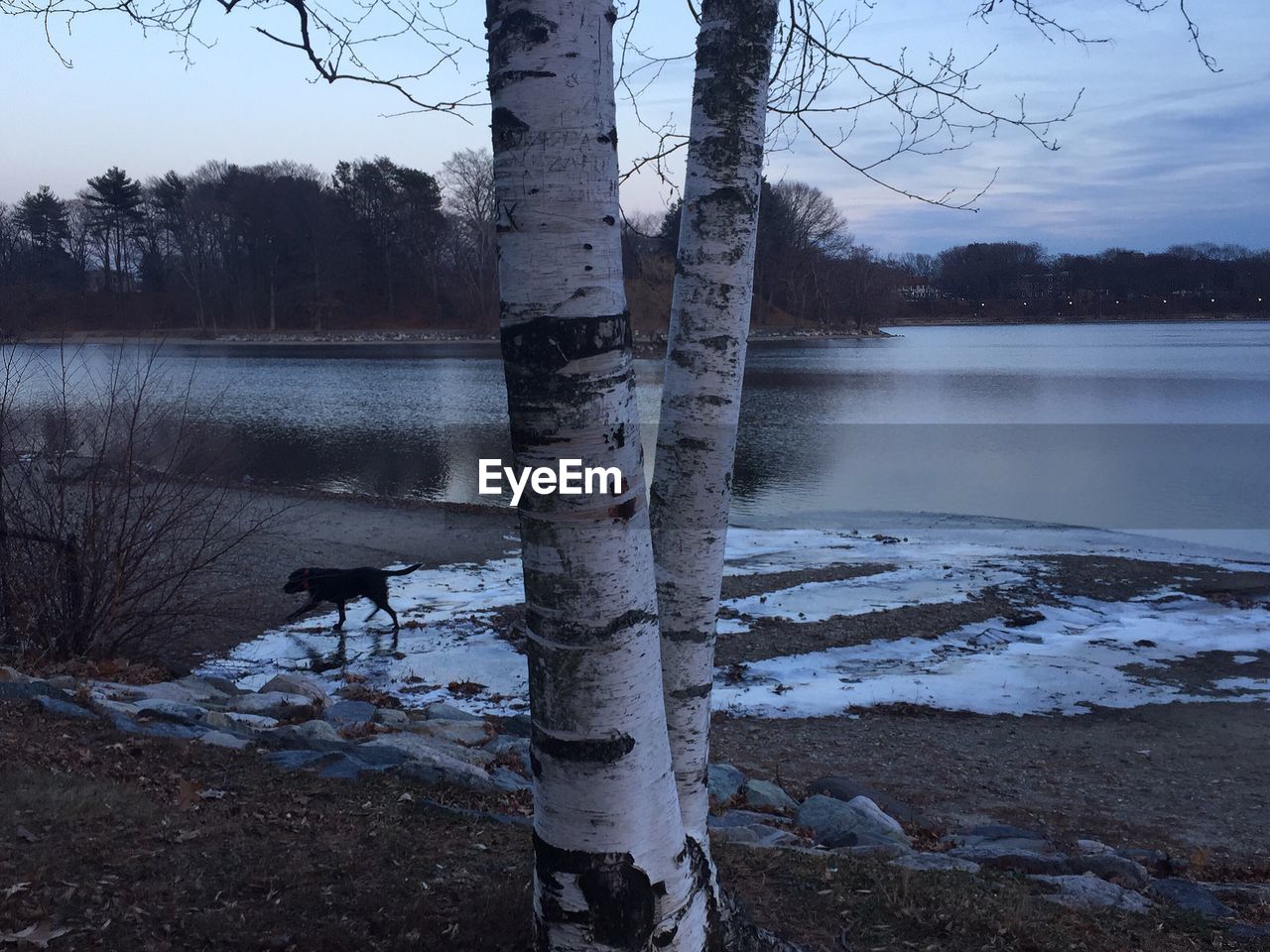 Scenic view of lake against sky during winter