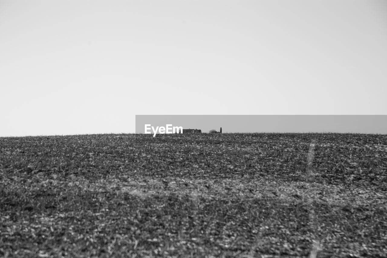 SCENIC VIEW OF AGRICULTURAL LANDSCAPE AGAINST CLEAR SKY