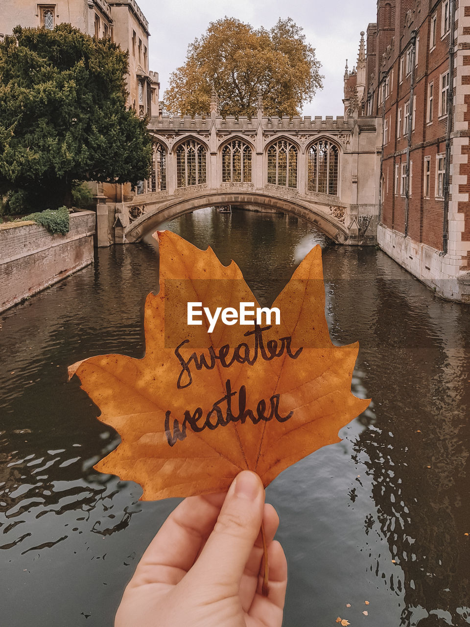 CROPPED IMAGE OF PERSON HOLDING TEXT BY BUILDING AGAINST TREES