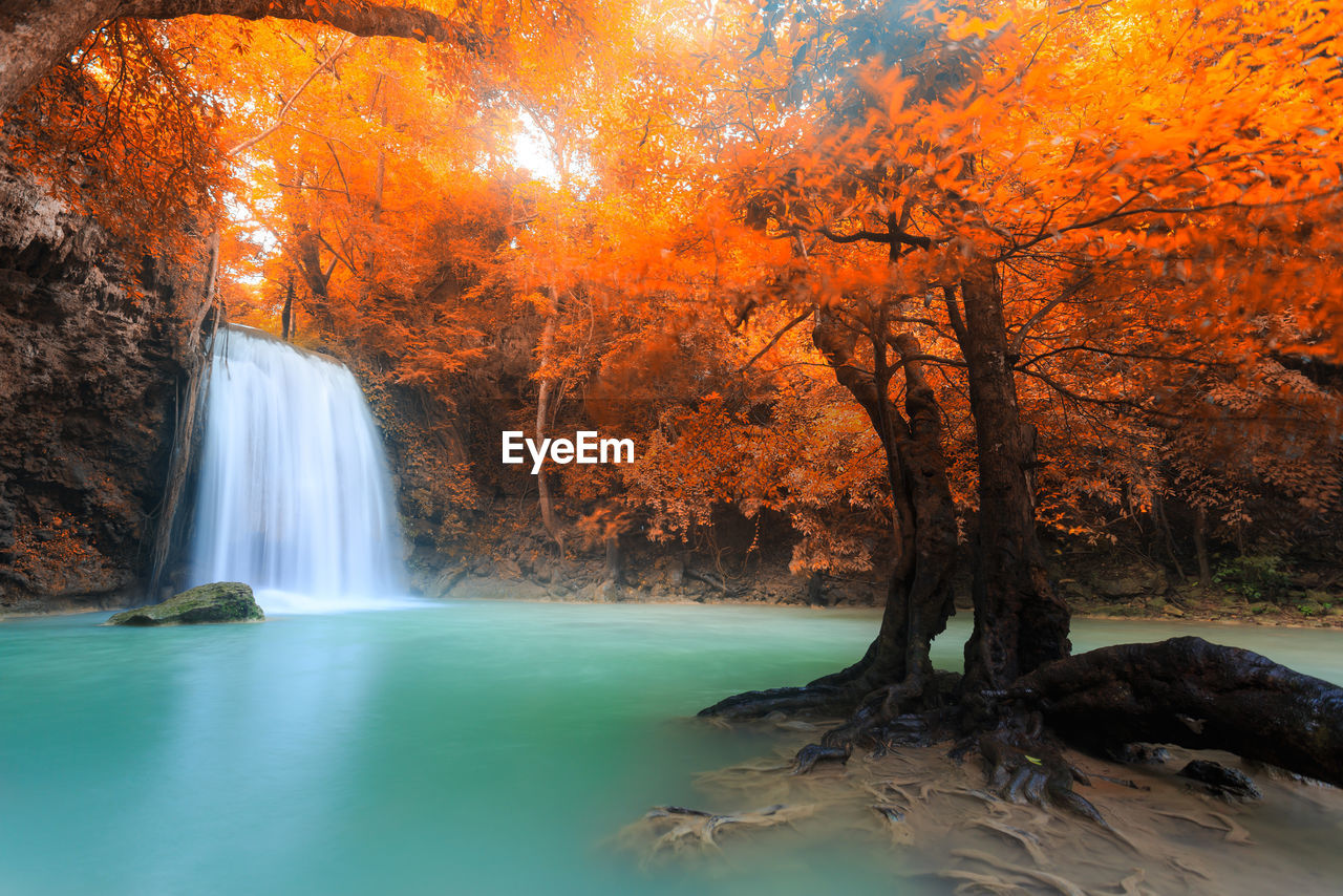 Scenic view of waterfall in forest during autumn