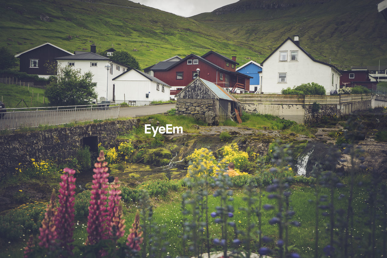 Scenic view of residential building by mountain