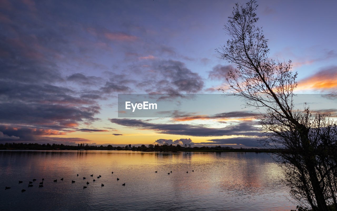 water, sky, reflection, sunset, beauty in nature, cloud, dawn, scenics - nature, tranquility, nature, tree, lake, tranquil scene, evening, animal, animal themes, plant, no people, environment, silhouette, animal wildlife, wildlife, idyllic, landscape, bird, afterglow, outdoors, dramatic sky, orange color, beach, travel destinations, horizon, non-urban scene, sun, land, multi colored, sunlight, group of animals