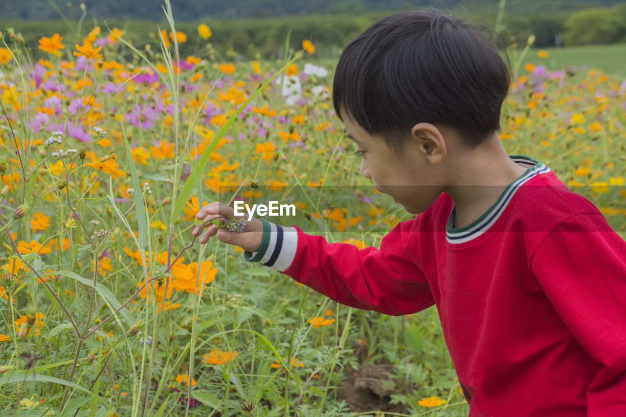 Close-up of boy looking at flowering plants