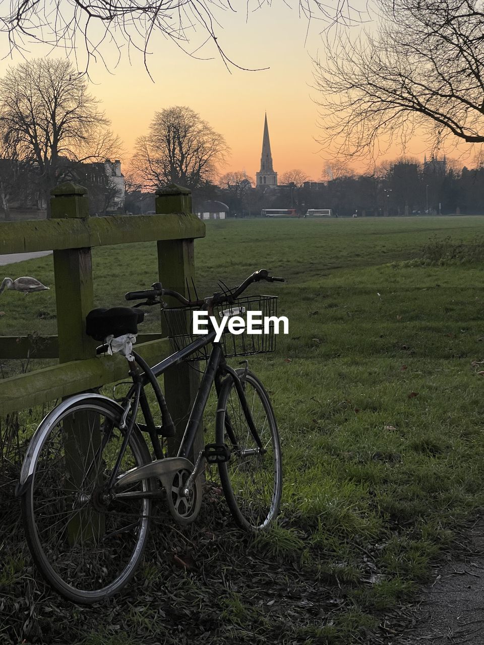 bicycle, plant, transportation, nature, tree, water, mode of transportation, vehicle, no people, land vehicle, outdoors, lake, tranquility, land, grass, reflection, day, high angle view, beauty in nature, wheel, bare tree