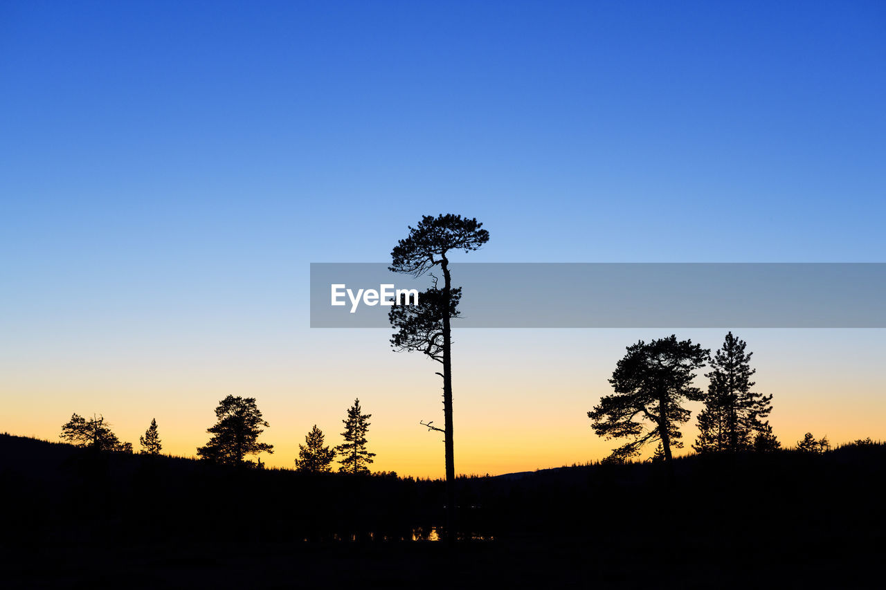 Silhouette trees on landscape against clear sky