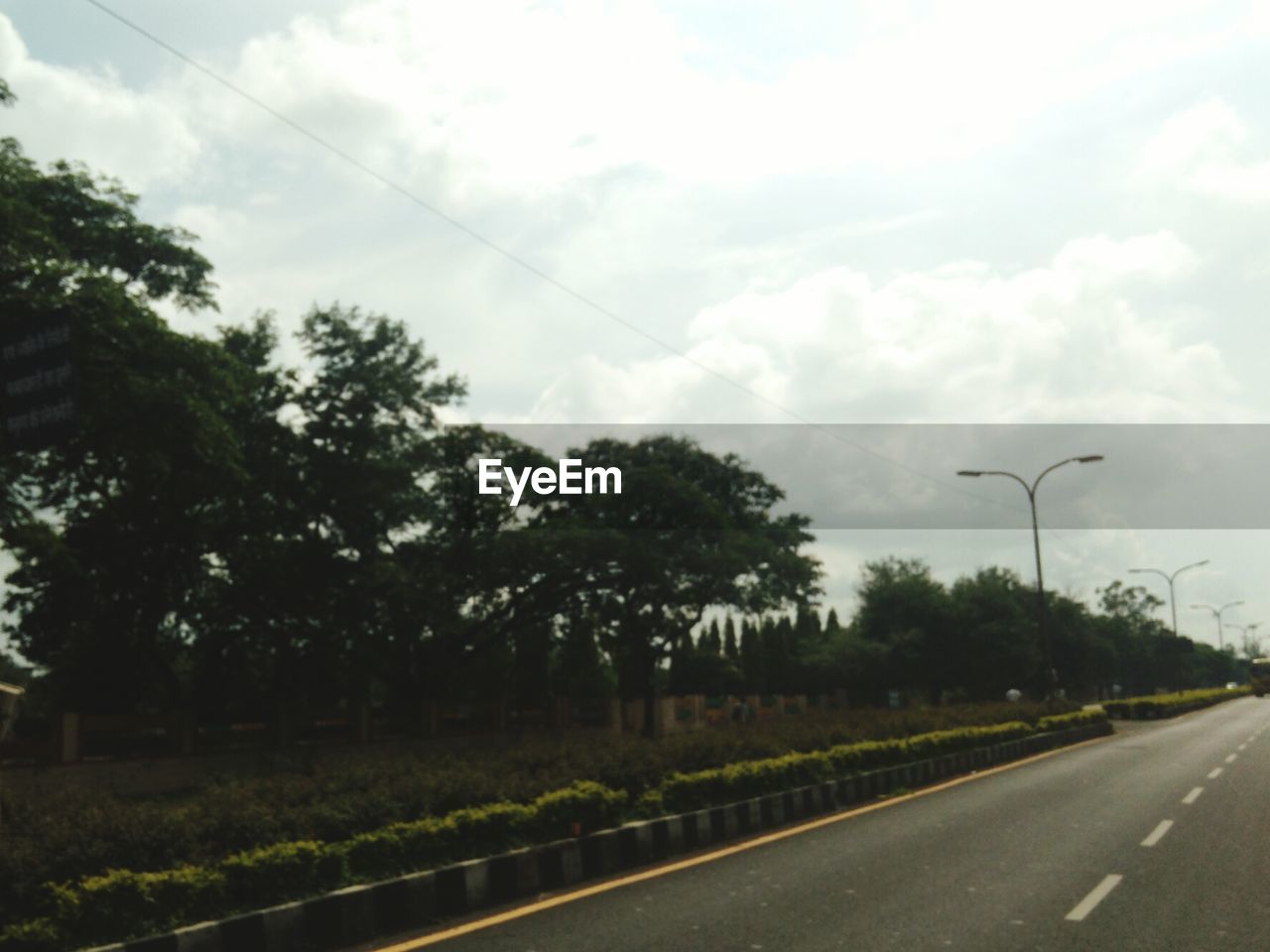 EMPTY ROAD ALONG TREES